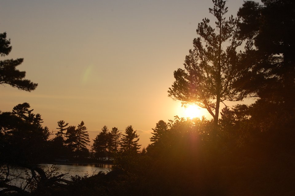 SUMMER (144)